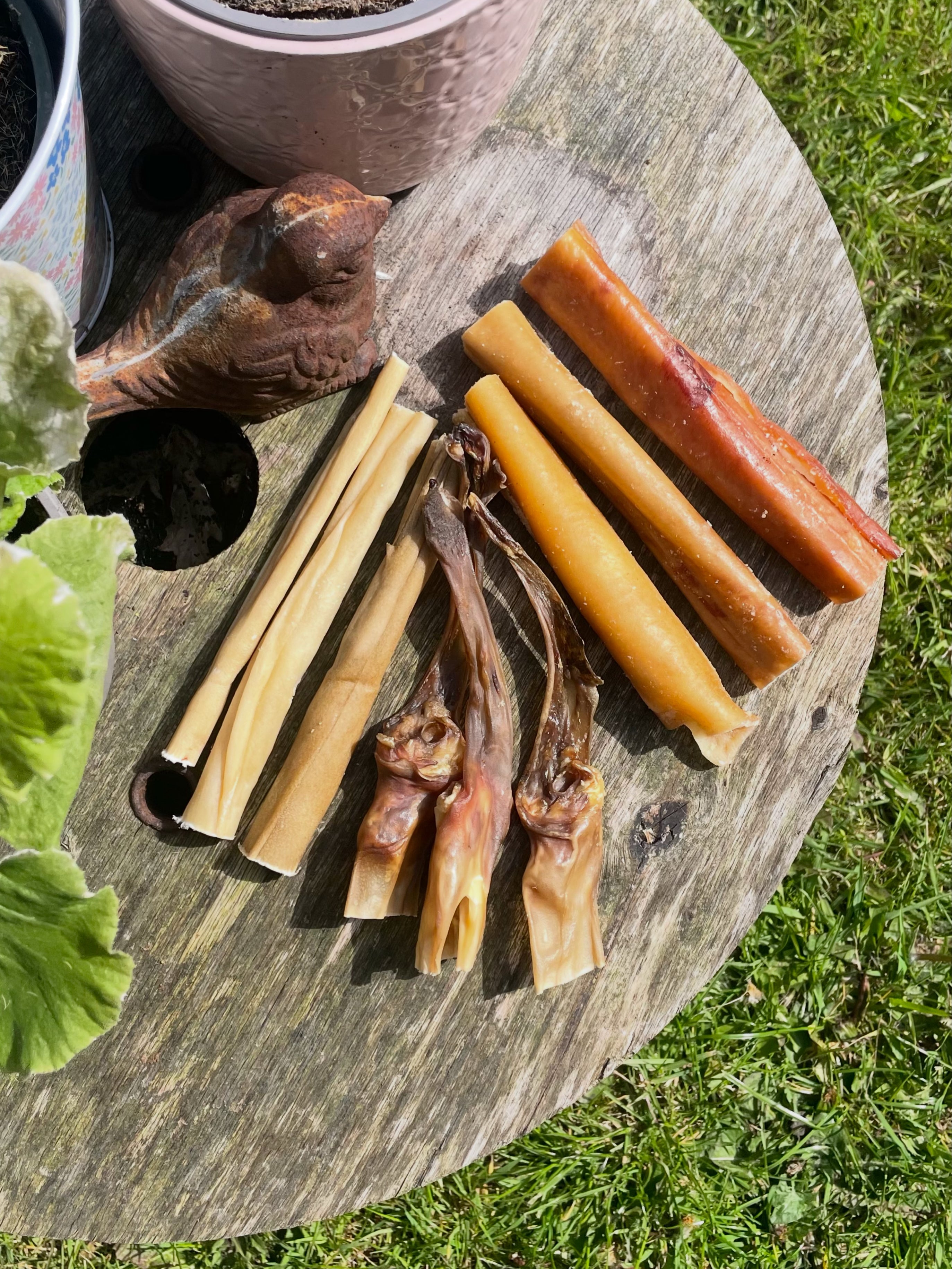 Meaty Chews