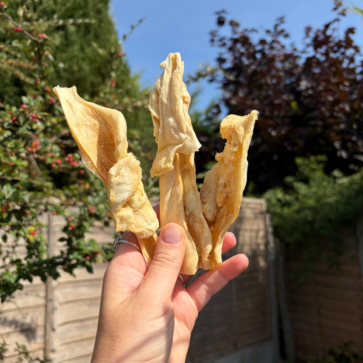 Lamb Muscle Dog Chewy Treats