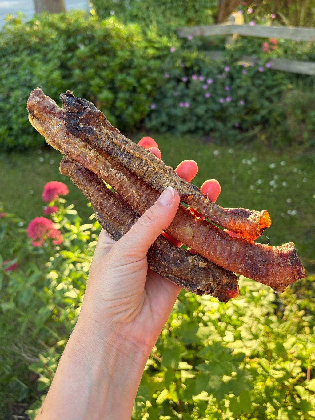 Anco Lamb Tubes
