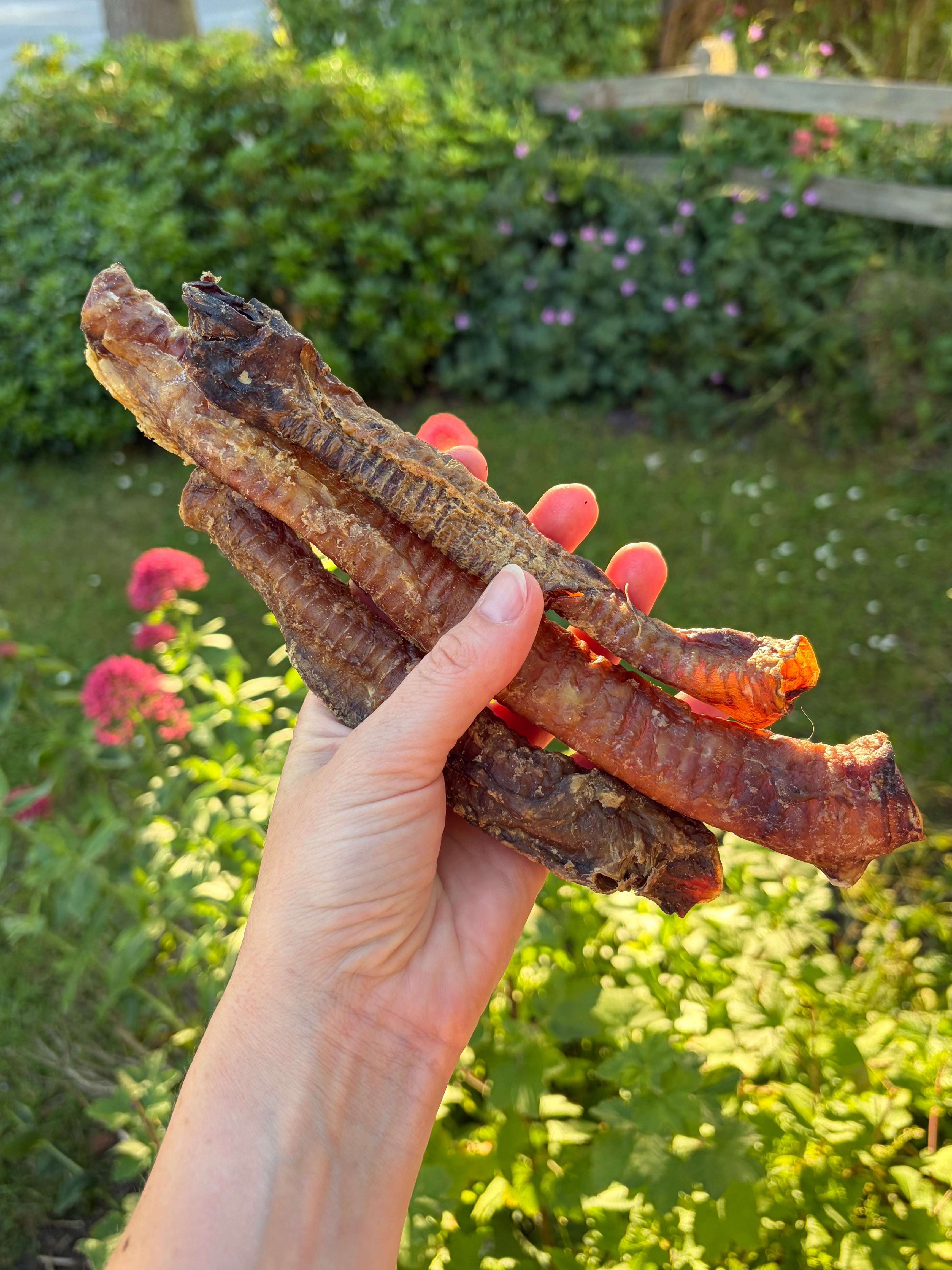Anco Lamb Tubes