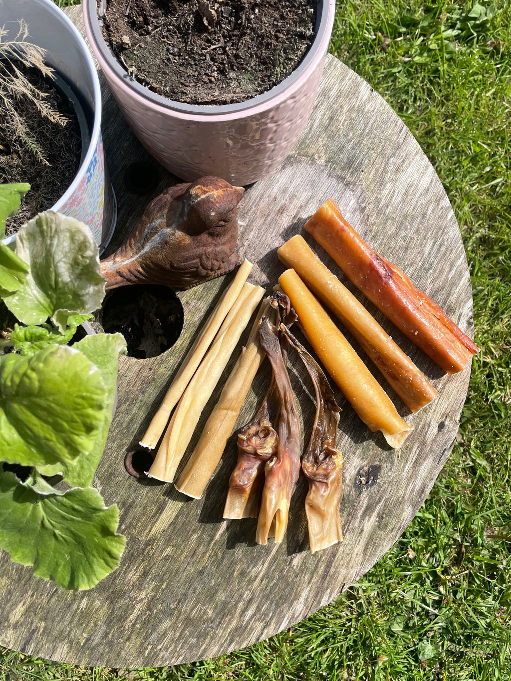 Buffalo Natural Chew