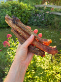 Anco Lamb Tubes
