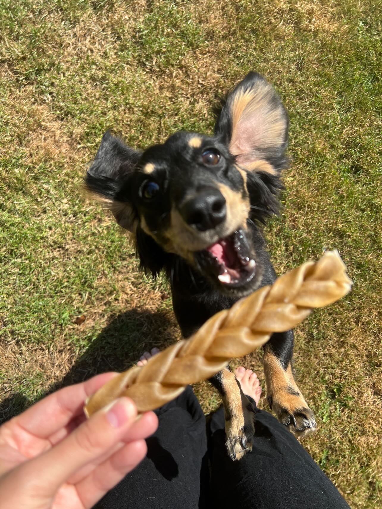 Anco Chew bundle