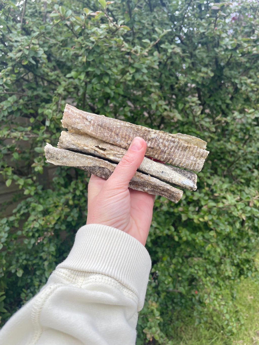 Fish Skin Stick