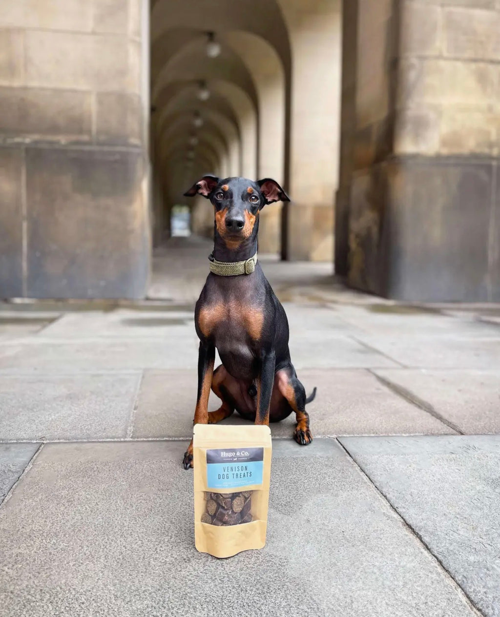 Venison Dog Treats - 75g
