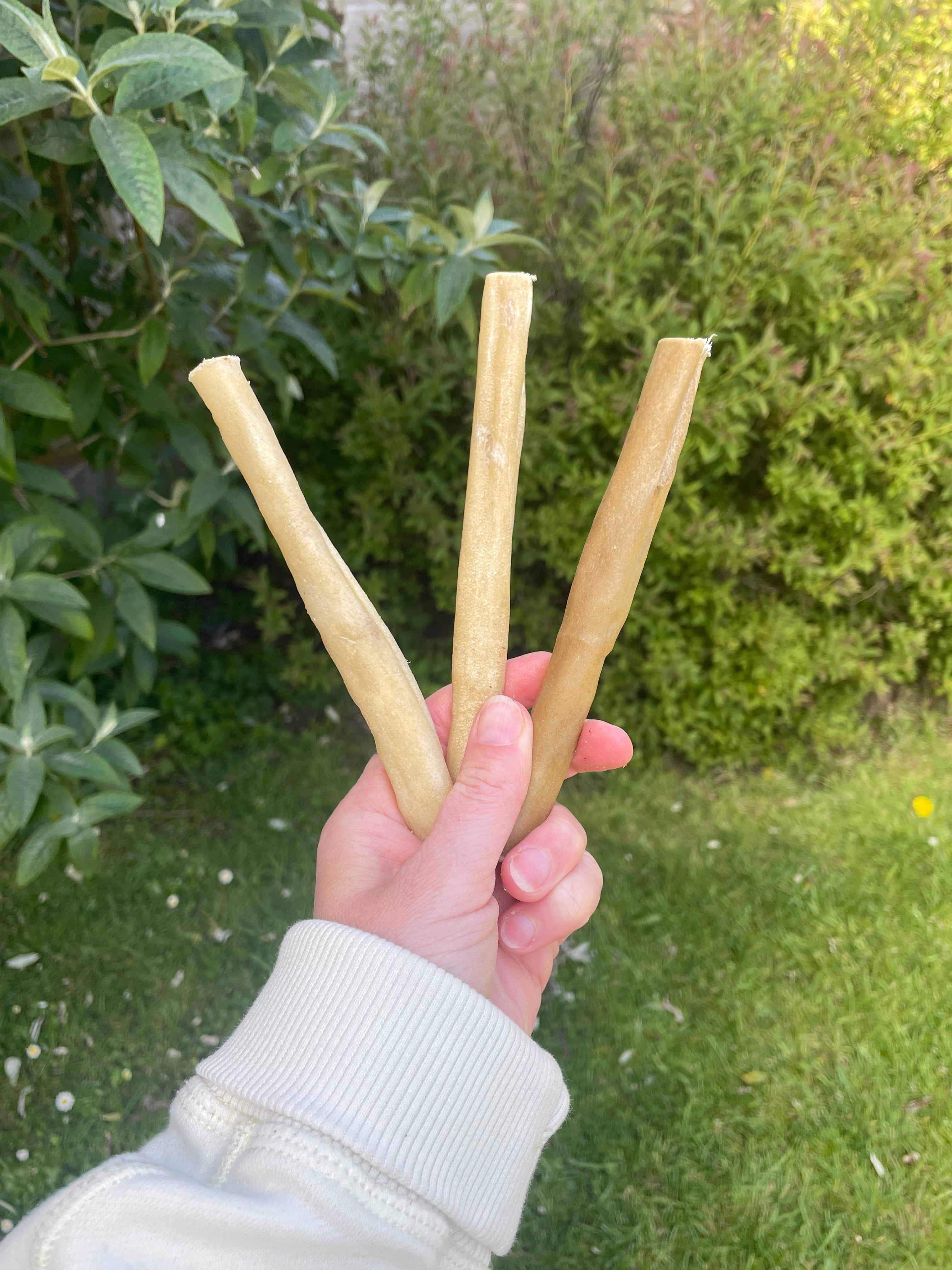 Buffalo Natural Chew