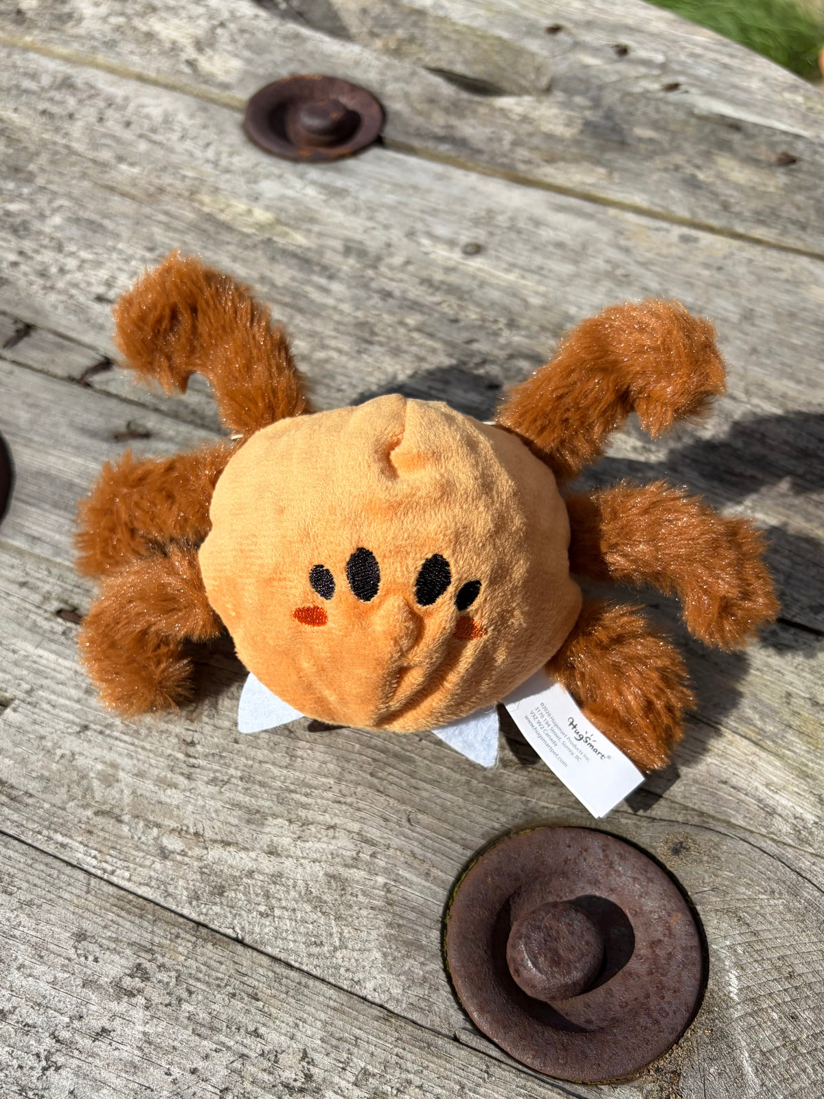 Creepy Spider Halloween box 🕷️