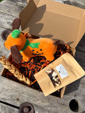Pumpkin dog squeaky toy box 🎃
