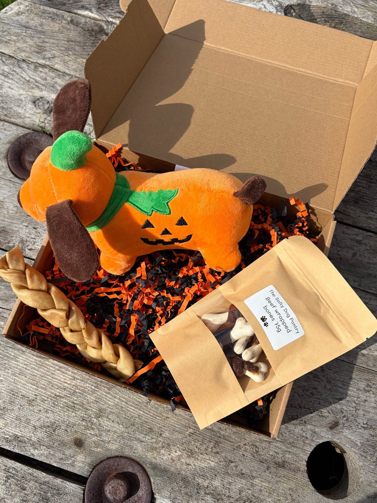 Pumpkin dog squeaky toy box 🎃