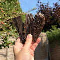 Liver Dog Treats