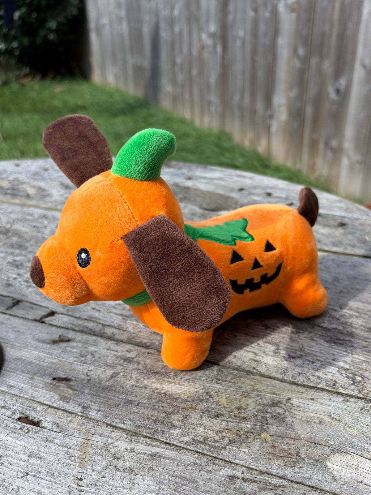 Pumpkin dog squeaky toy box 🎃