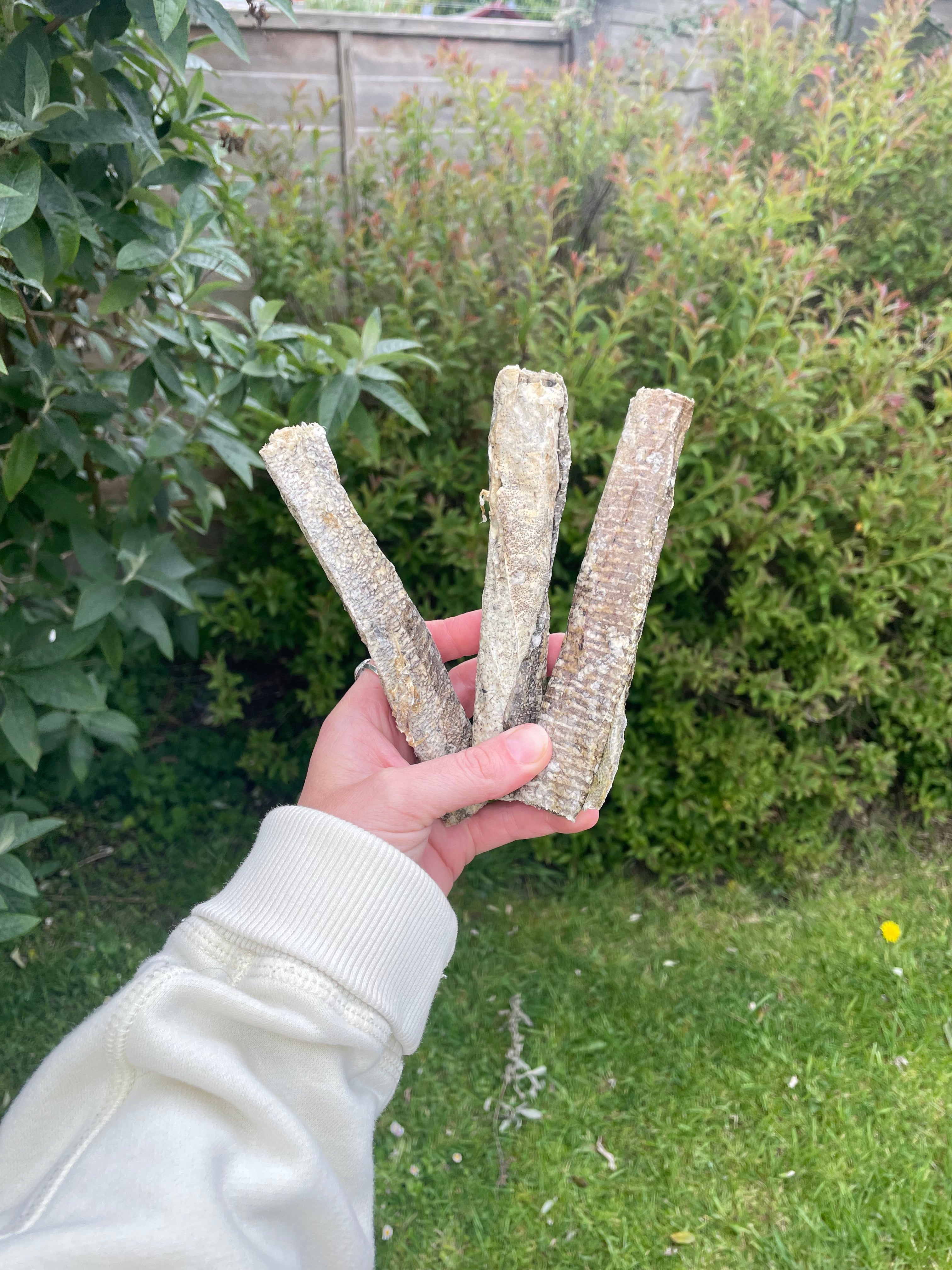 Fish Skin Stick