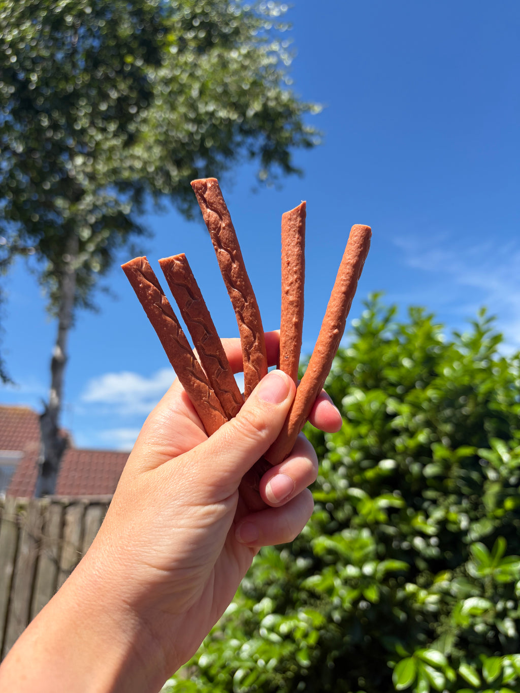 Venison sticks