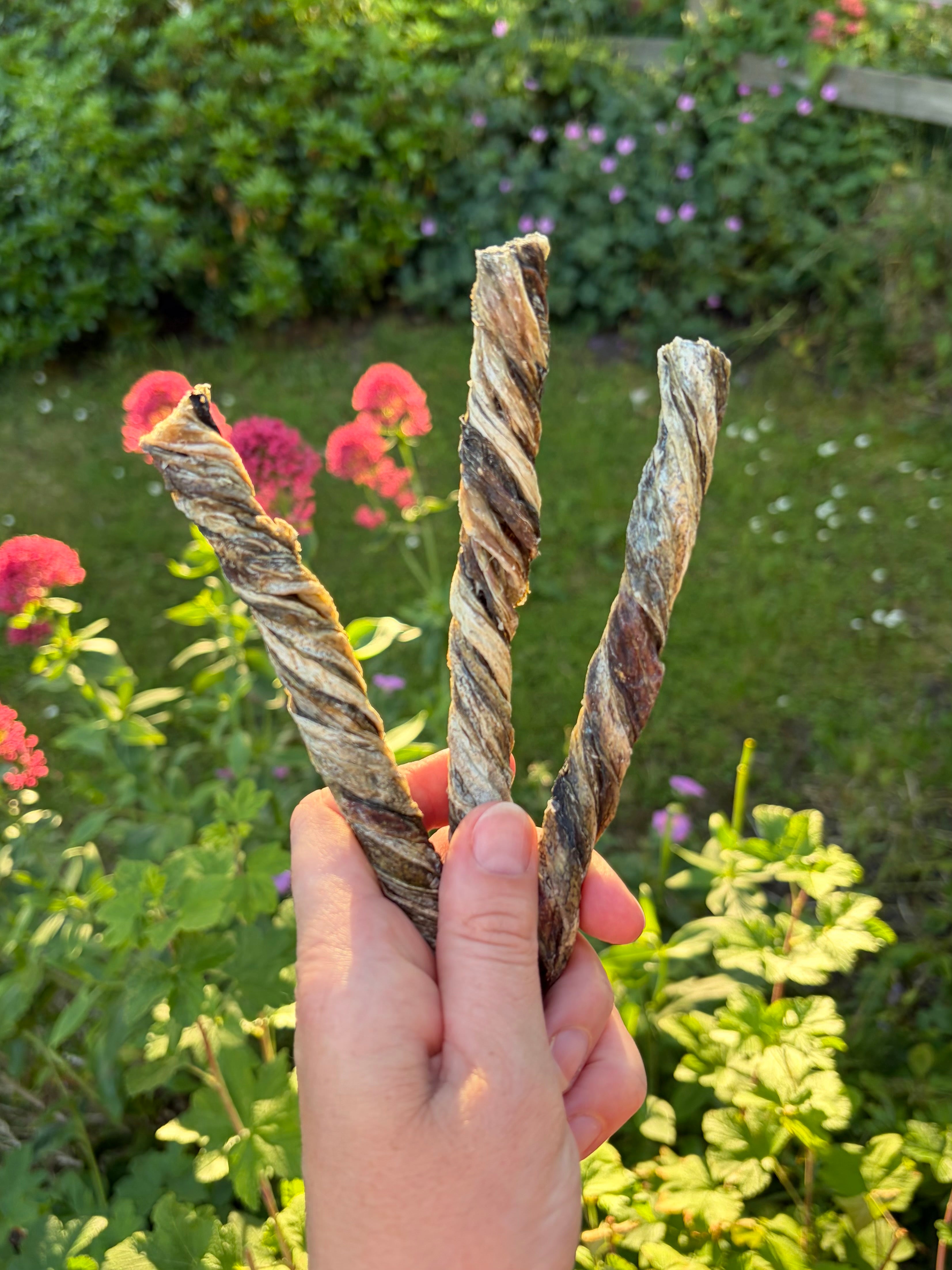 Fish Skin Twists