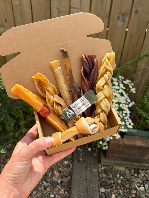 Chew-Tastic box