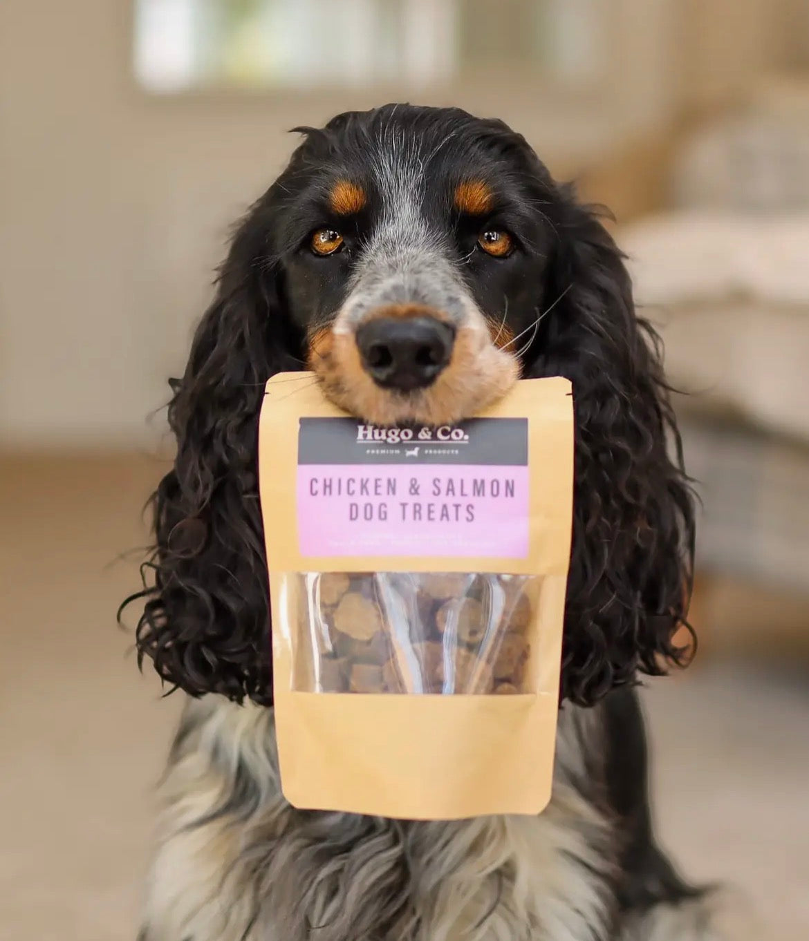 Chicken & Salmon Treats - 75g