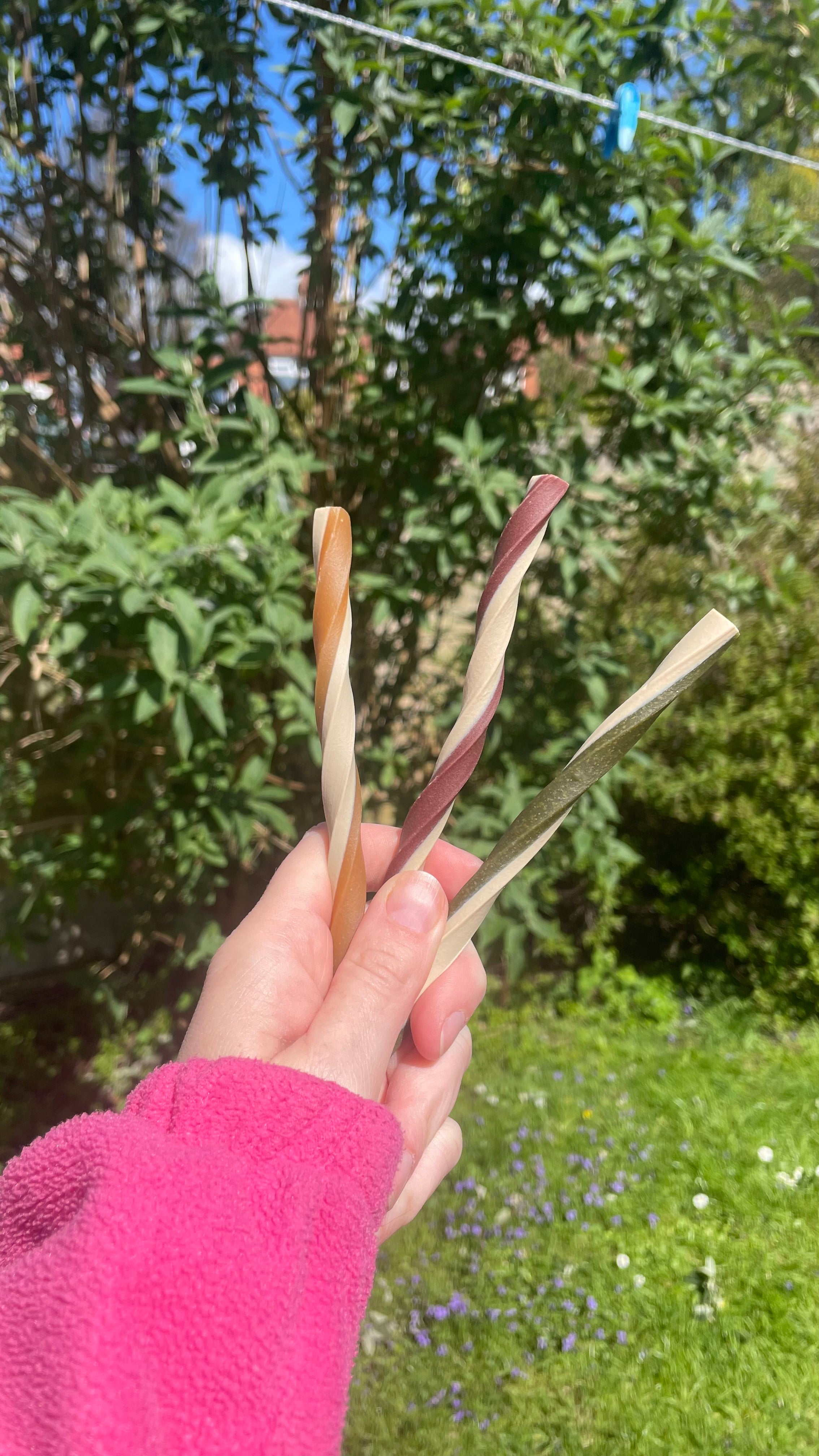 Fruit & Veg Twists • Spinach & Apple • Beetroot • Peanut Butter 6pack)
