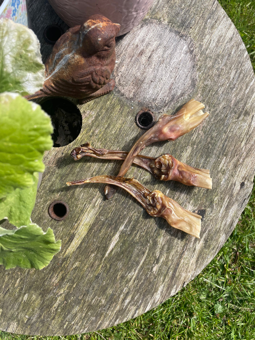 Rabbit Natural Chew