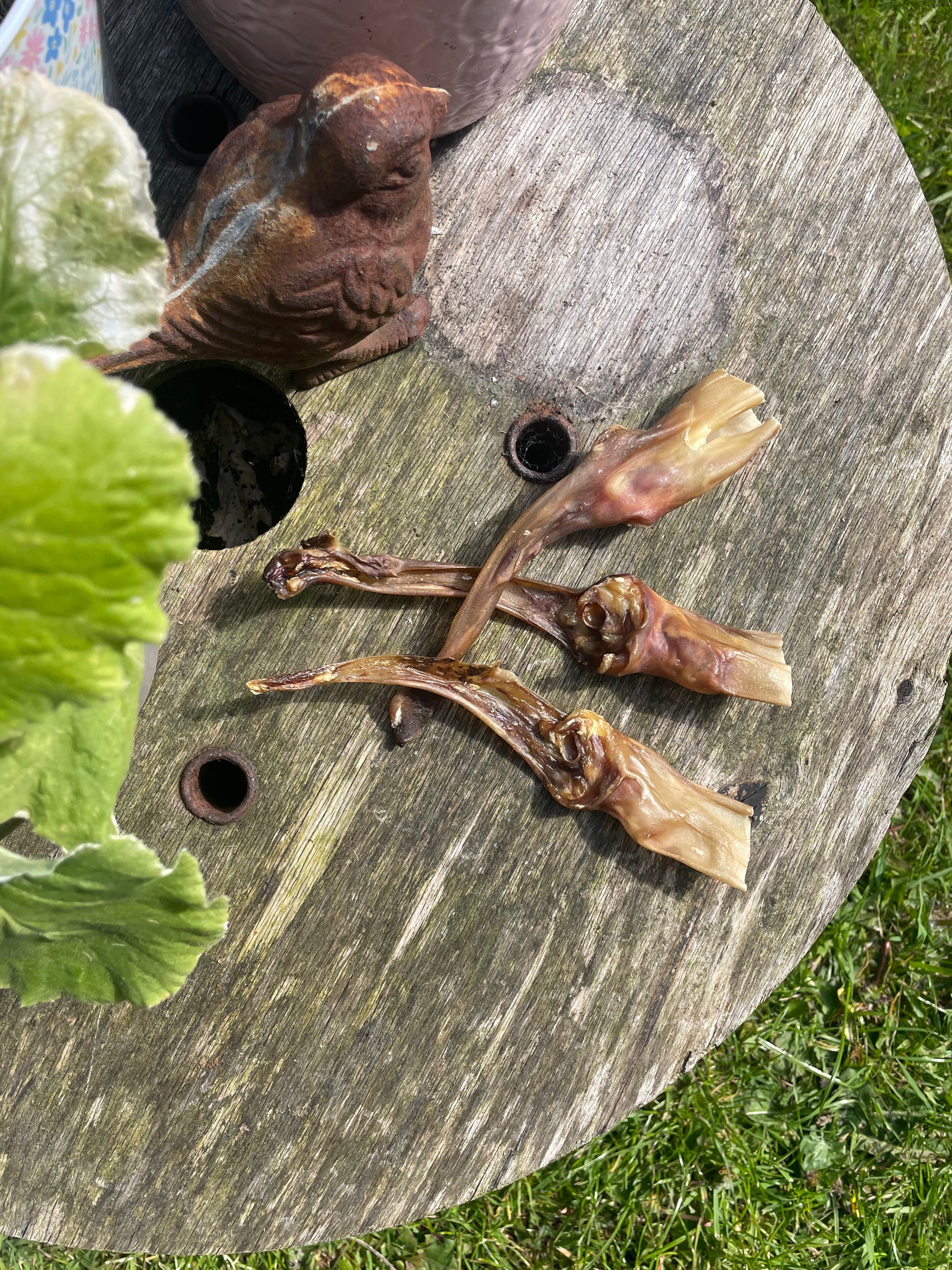 Rabbit Natural Chew