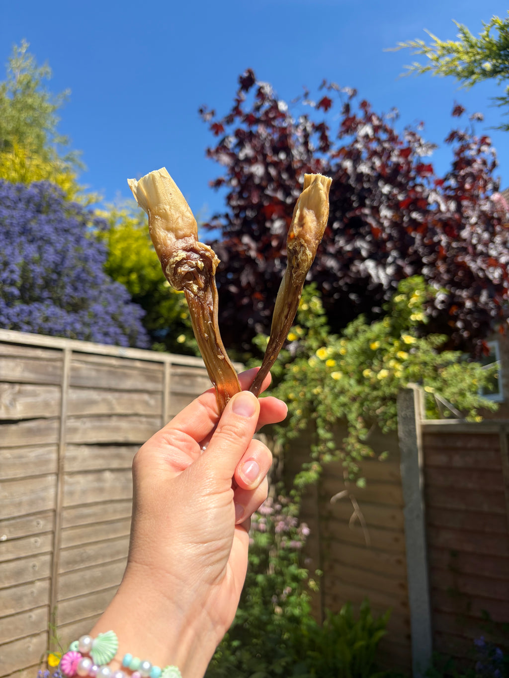 Rabbit Natural Chew