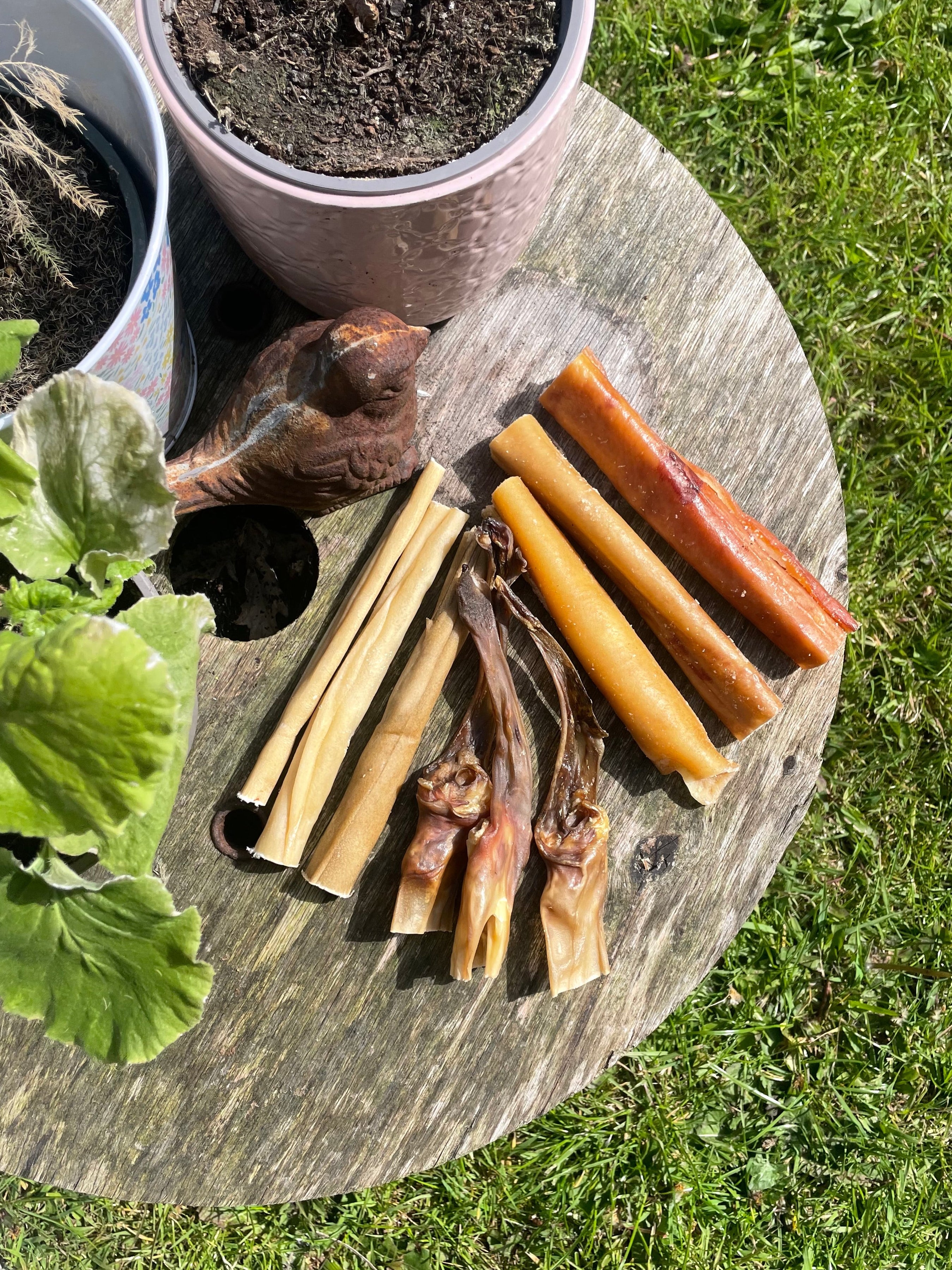 Rabbit Natural Chew