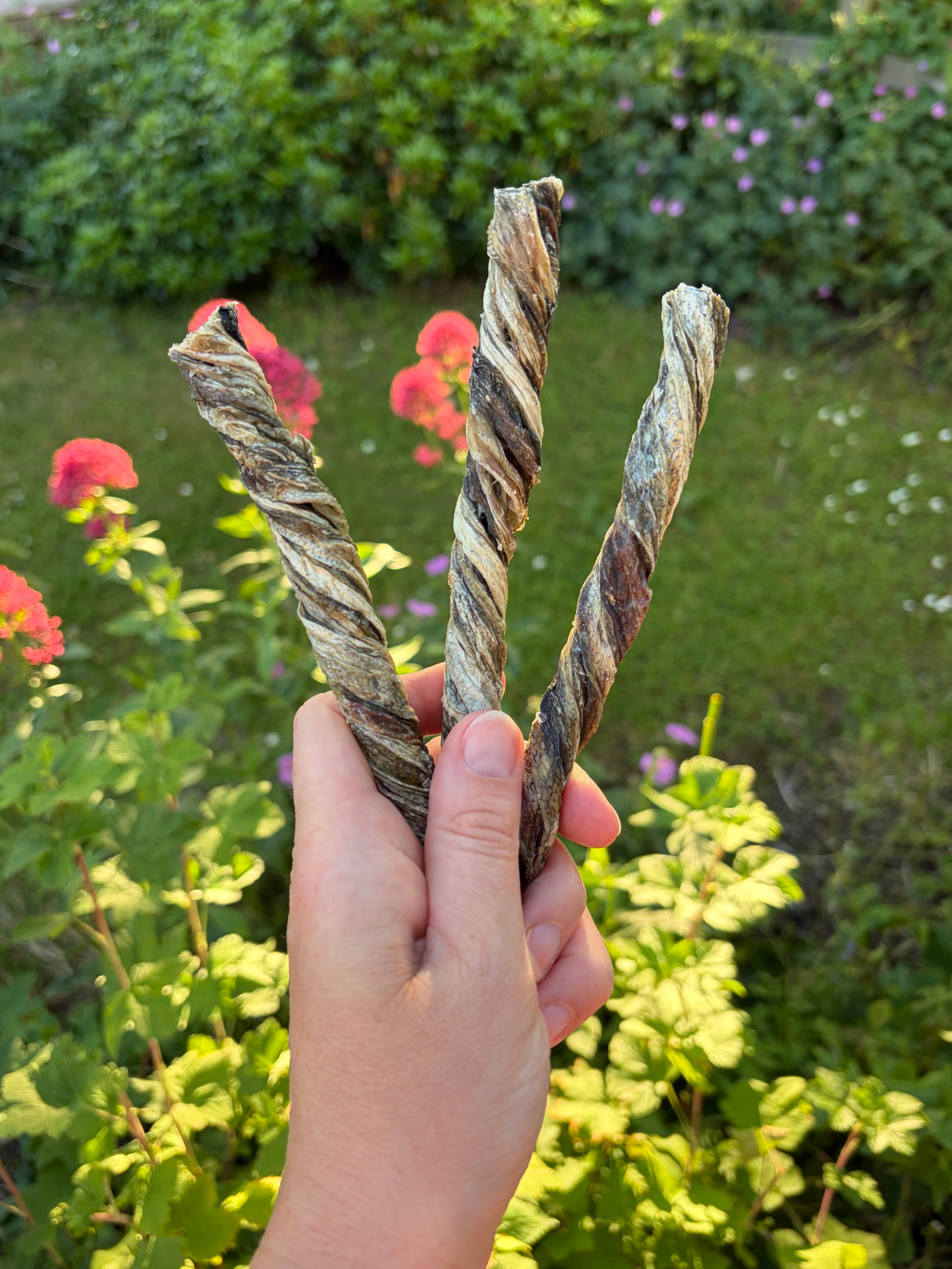 Fish Skin Twists