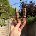 Duck Neck Dog Chewy Treats
