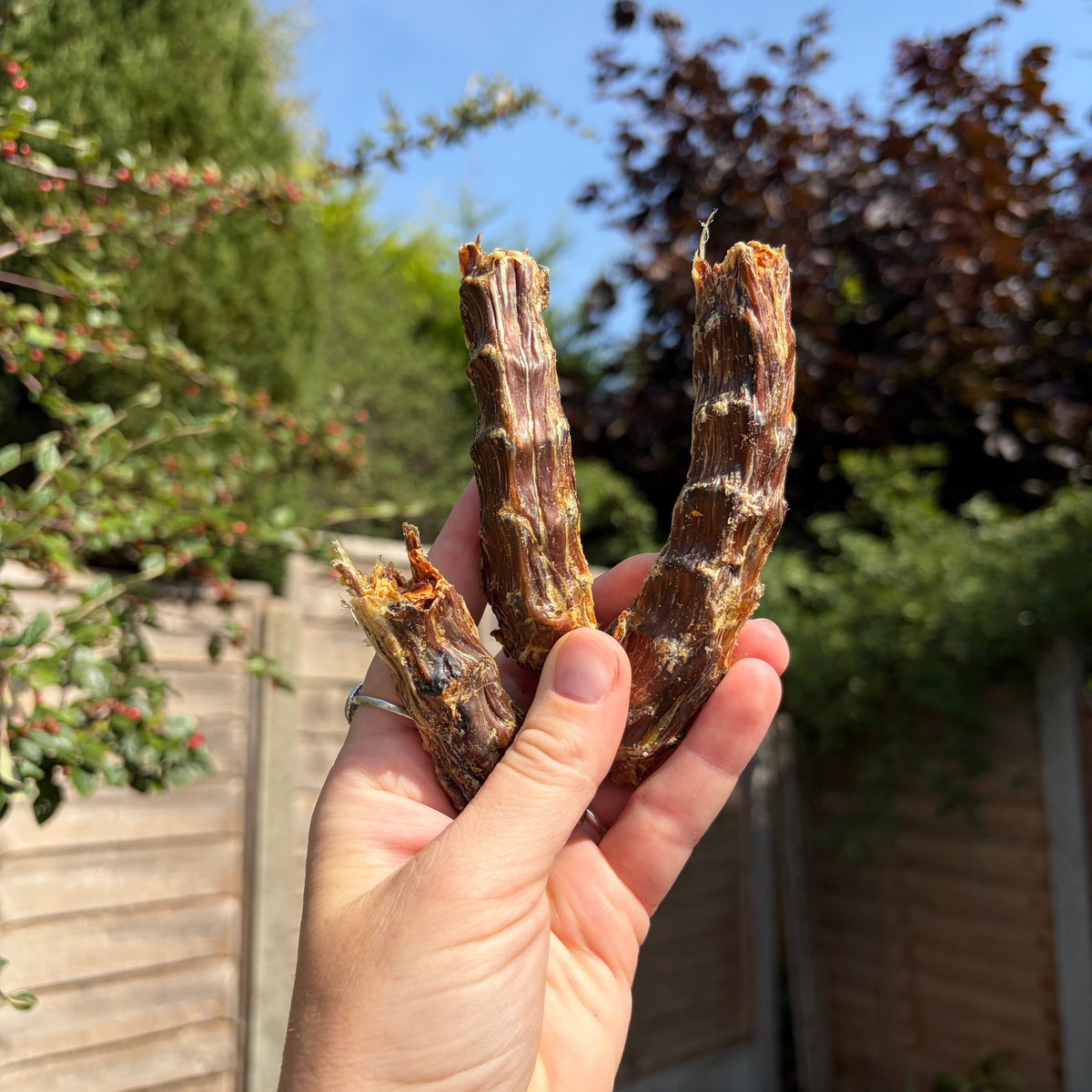 Duck Neck Dog Chewy Treats