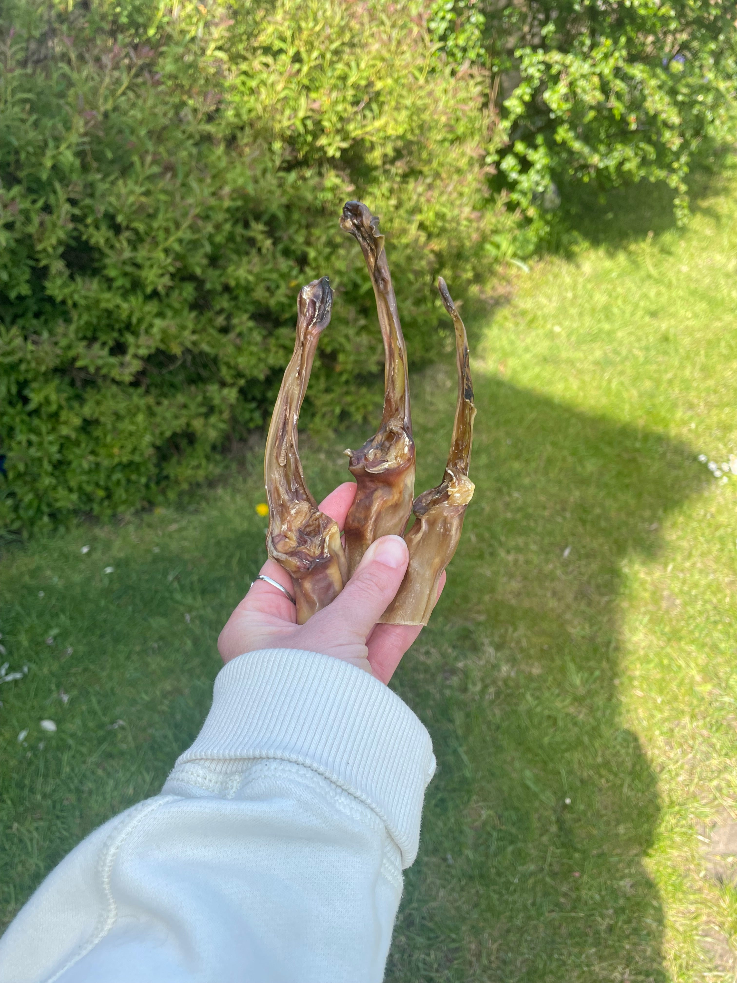 Rabbit Natural Chew