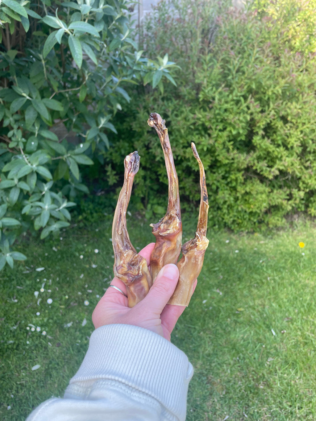 Rabbit Natural Chew
