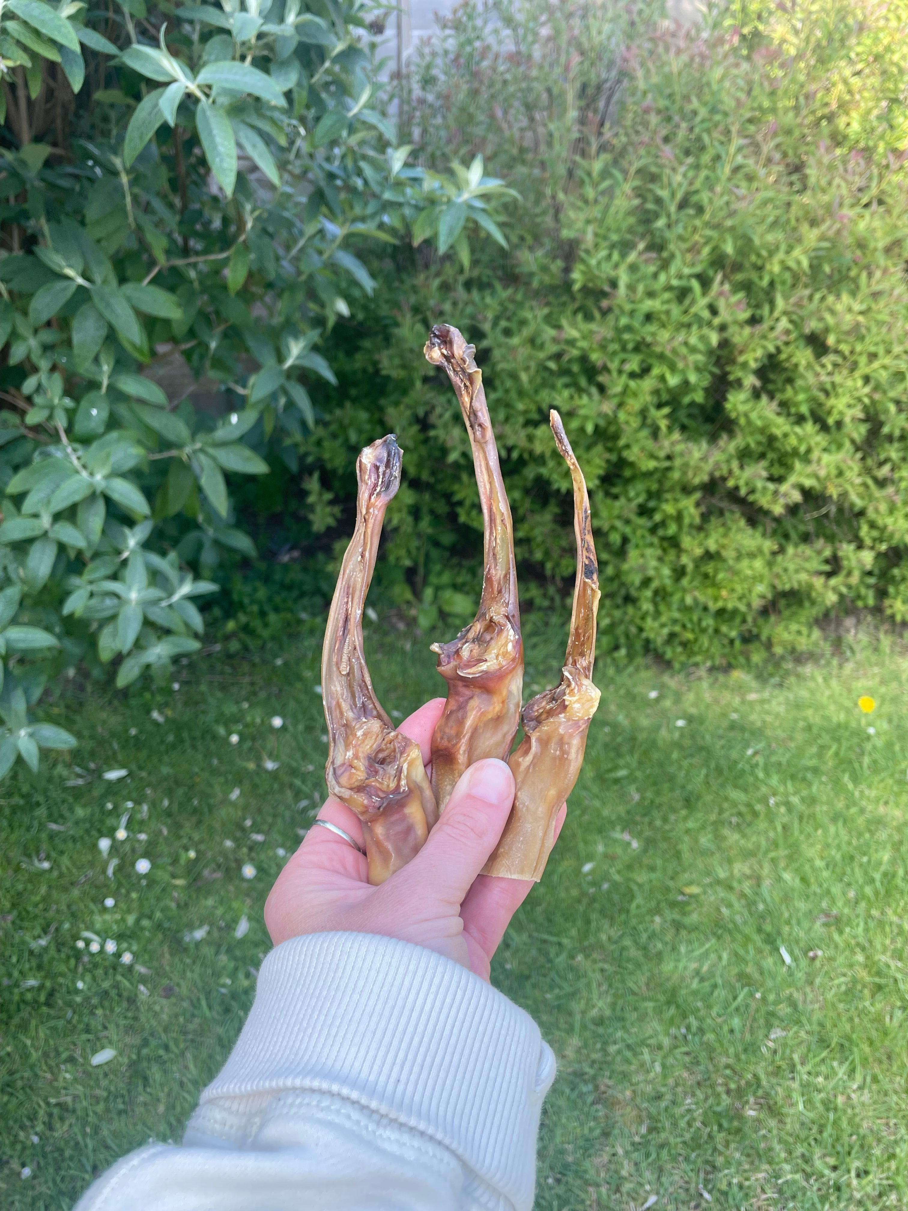 Rabbit Natural Chew