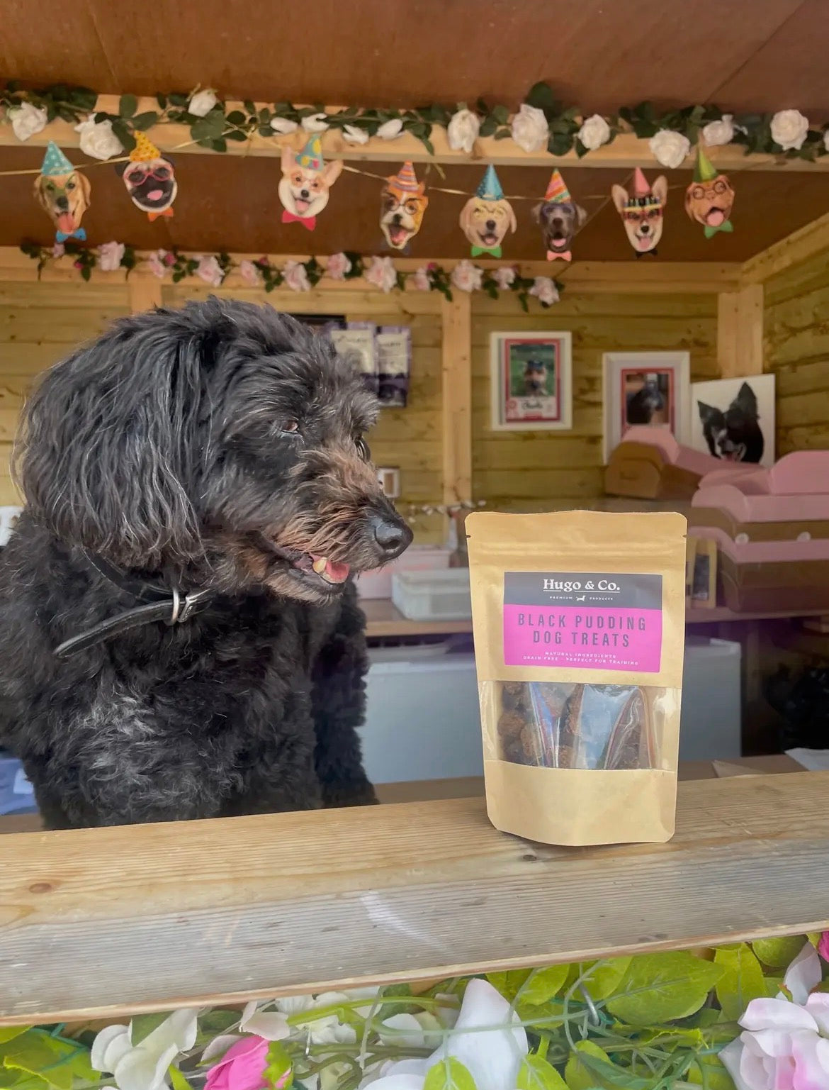 Black Pudding Treats - 75g