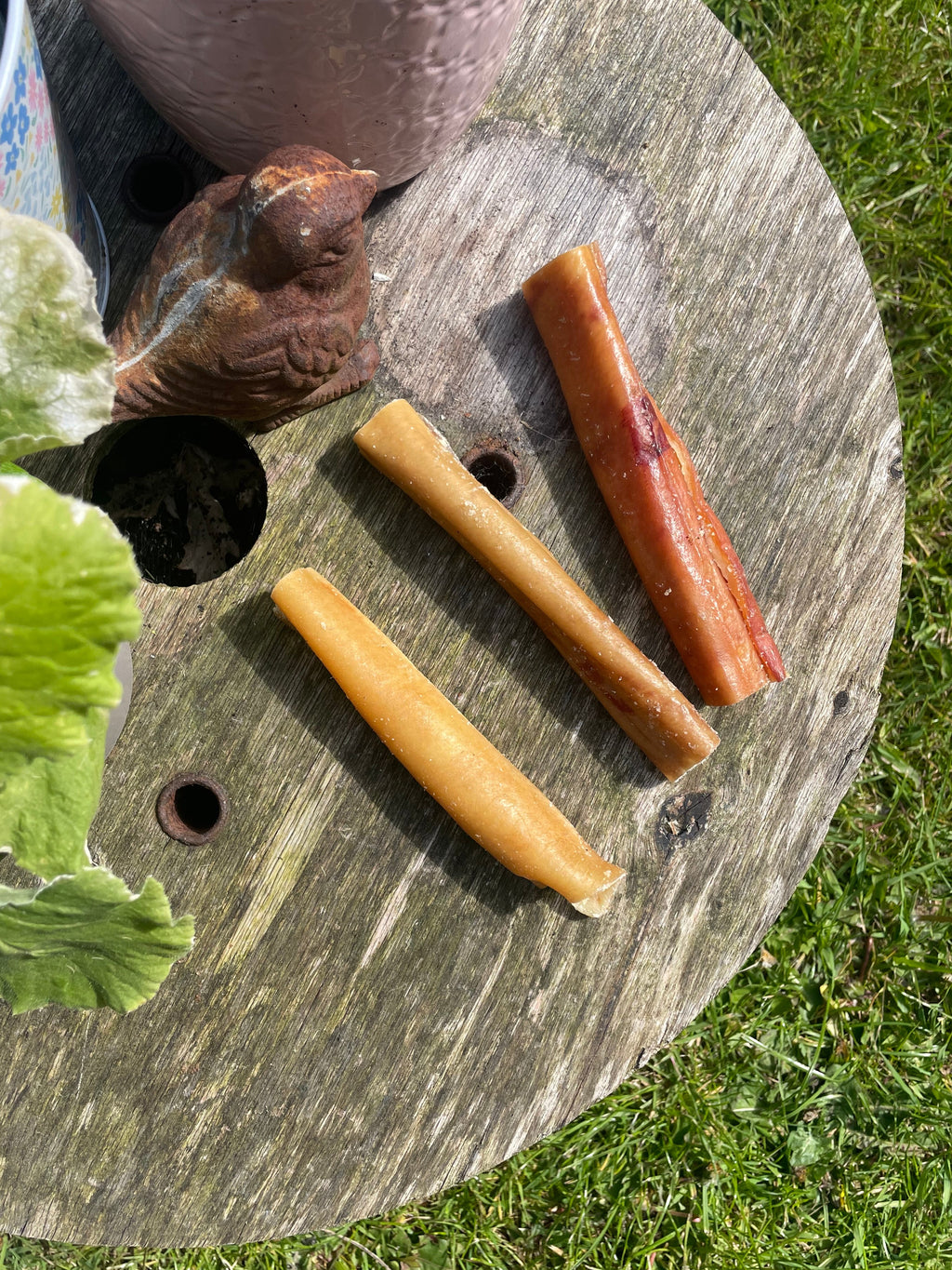 Boar Meaty Chew