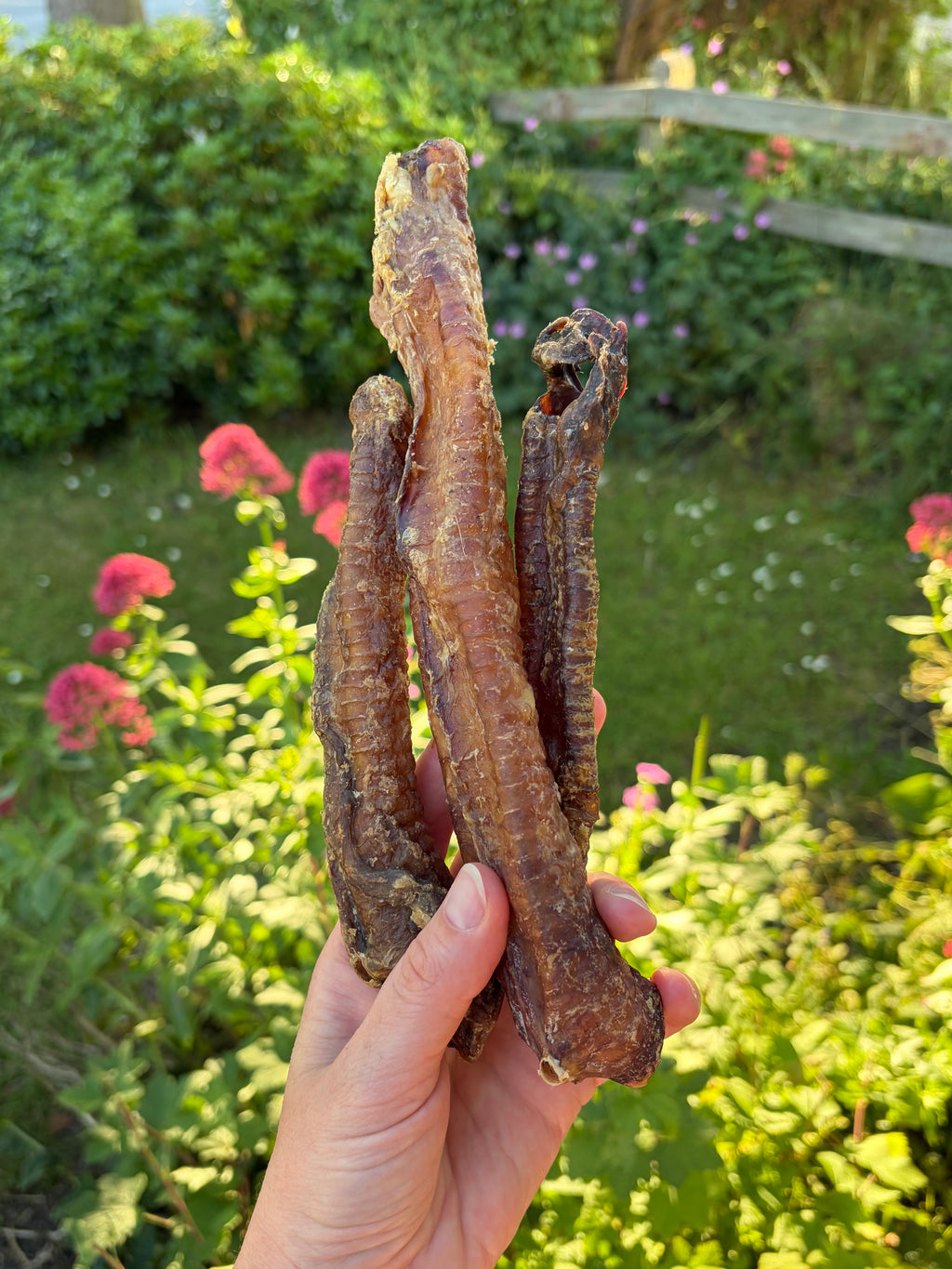 Anco Lamb Tubes