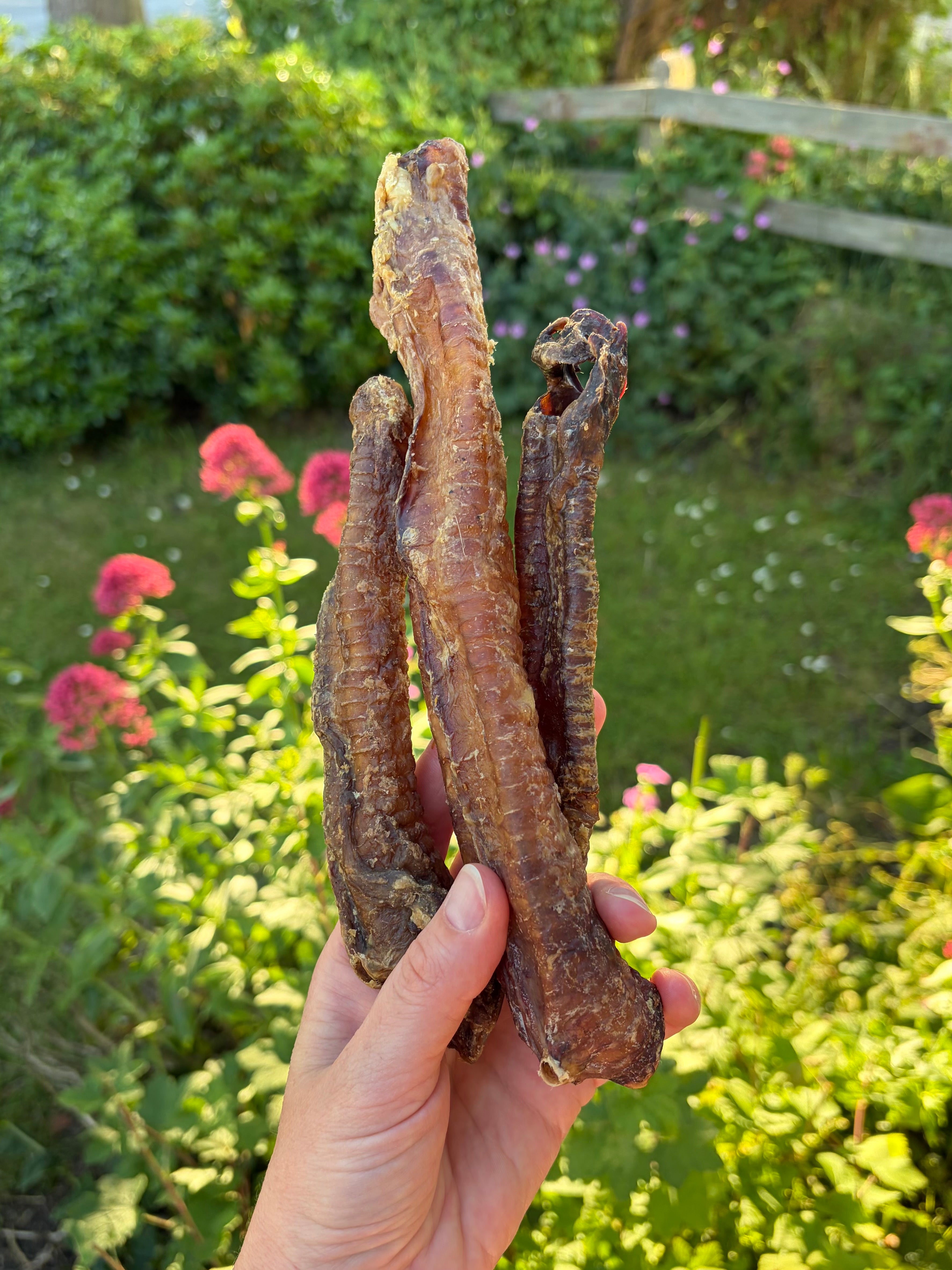 Anco Lamb Tubes