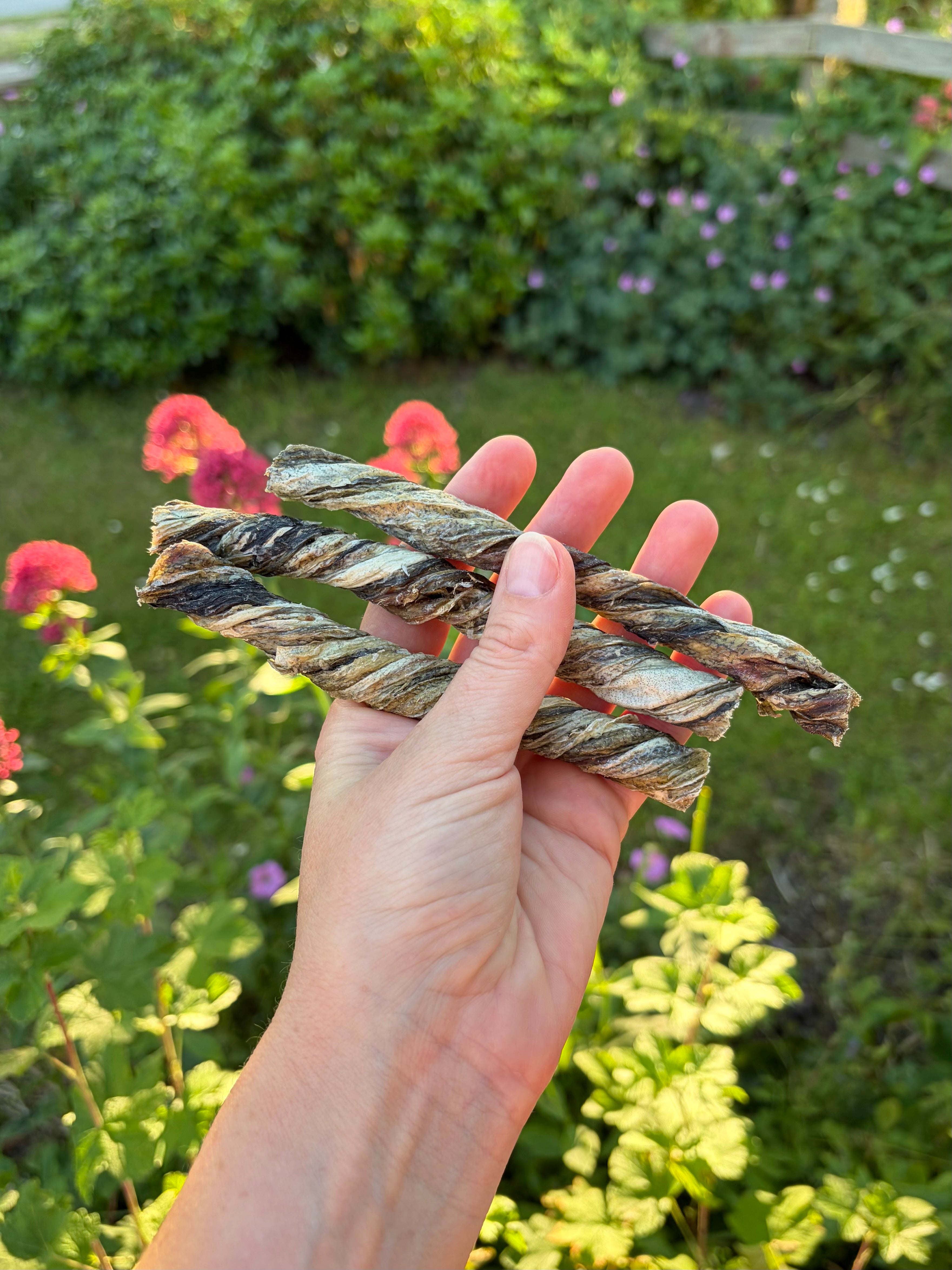 Fish Skin Twists