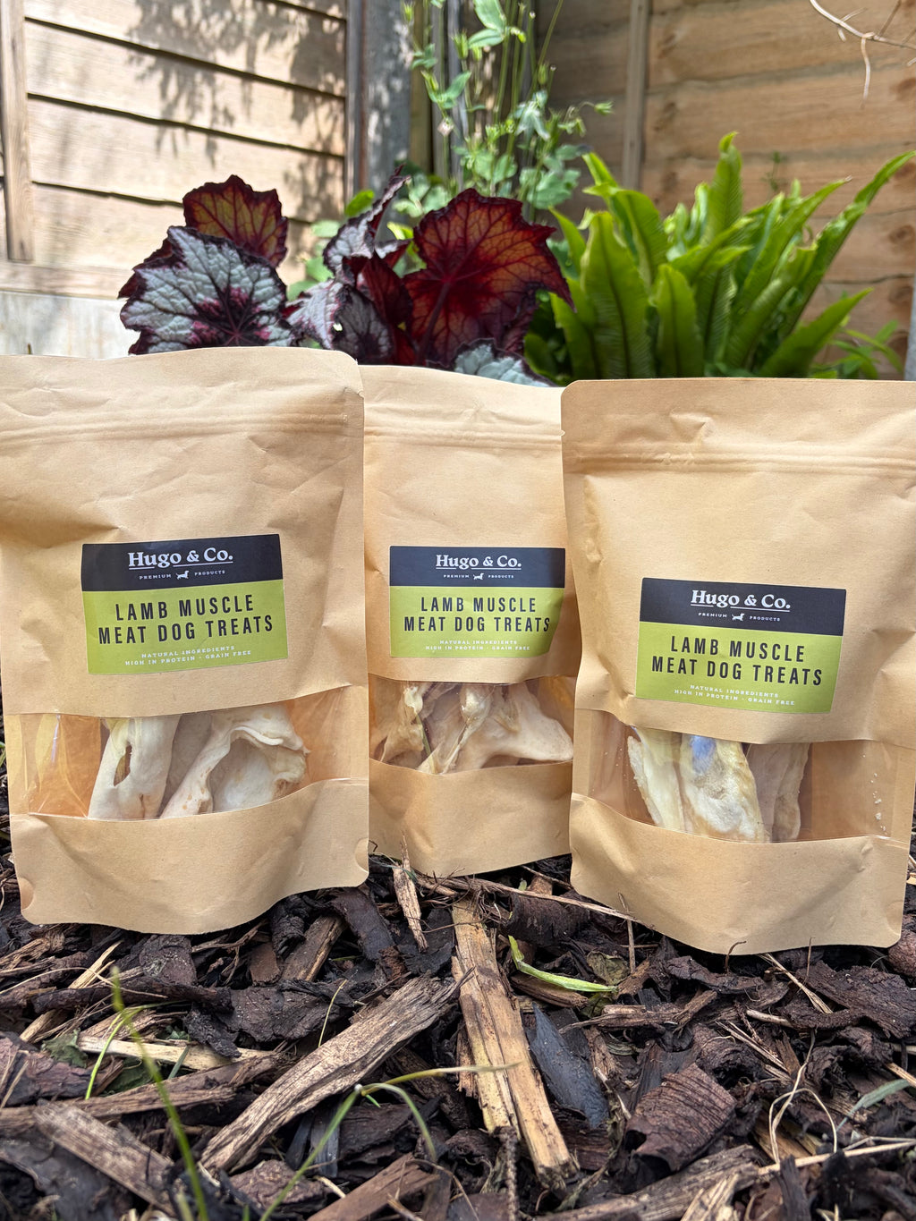Lamb Muscle Dog Chewy Treats