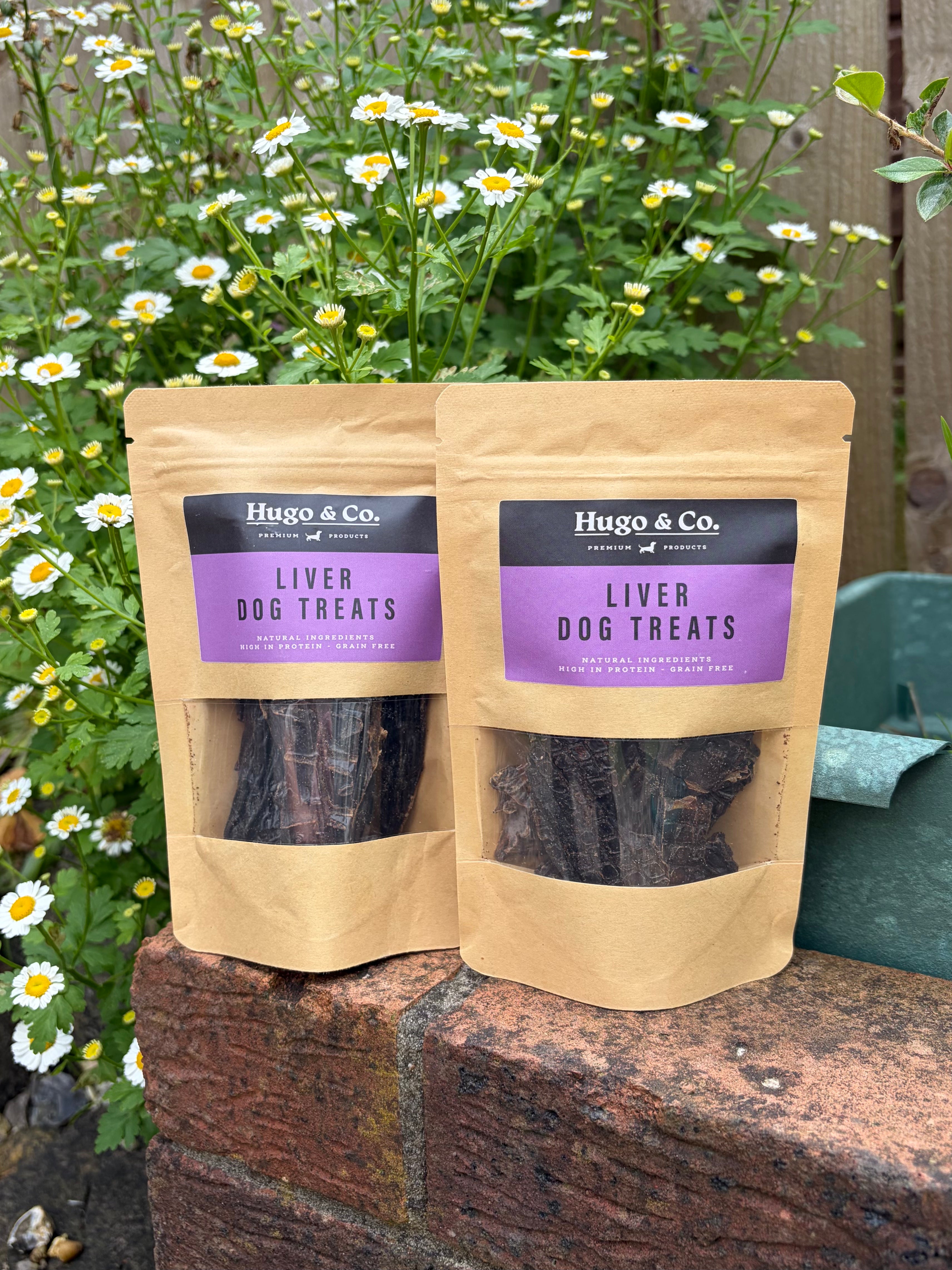 Liver Dog Treats