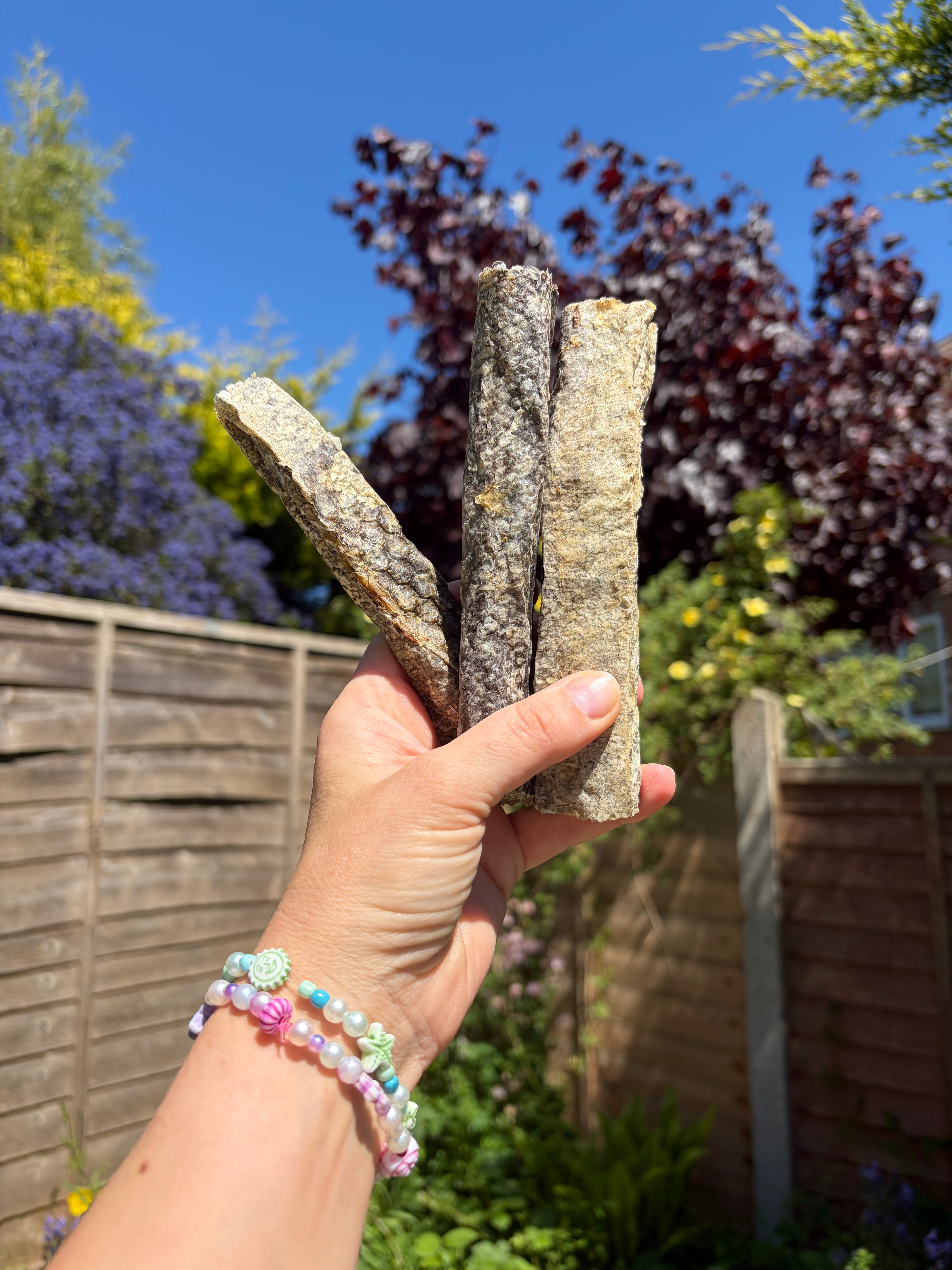 Fish Skin Stick