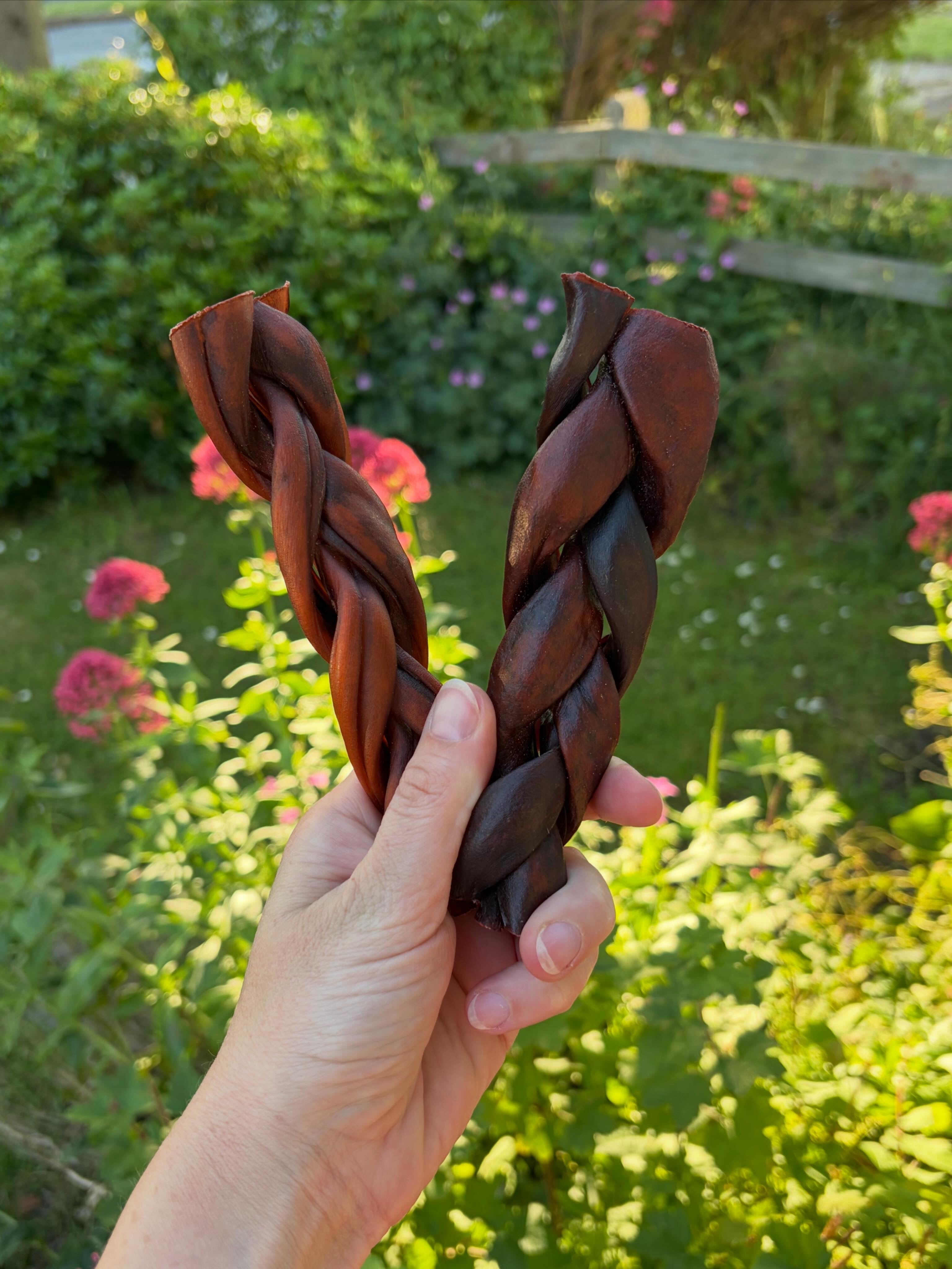 Anco Camel Braid