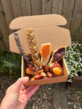 Selection Goodie Box