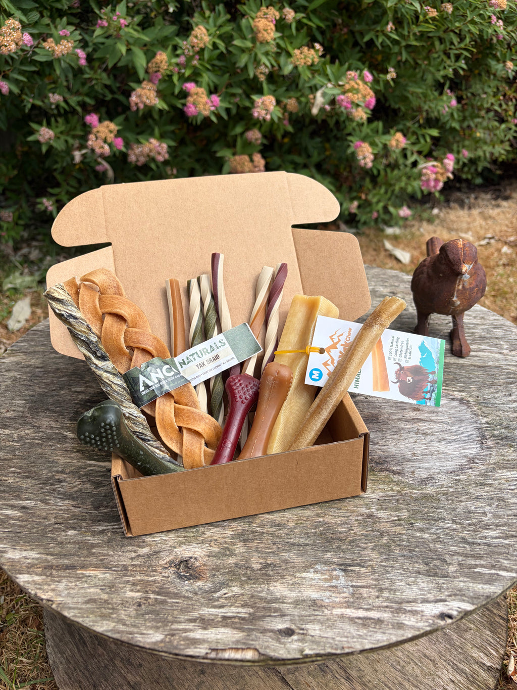 Salty Sunday Deal Box